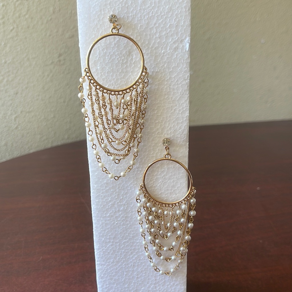 10 Nwt Earings 10$